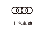 AG·尊龙凯时 - 人生就是搏!奥迪